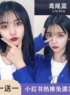 免漂鸢尾蓝黑色染发剂膏2024流行雾霾蓝灰色黑紫植物泡泡女正品纯