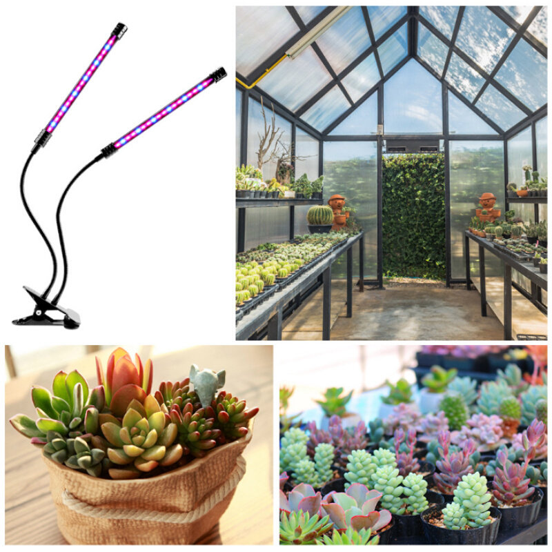 极速夹子植物生长灯多l肉上色补光usb可调光N家用全光谱灯防水花,家装灯饰光源,植物生长灯,淘宝优惠券,粉丝福利购,淘宝优惠卷