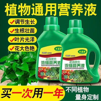 营养液植物通用型复活绿箩郁金香水培营型家用复合型盆栽盆景土壤