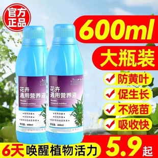 植物营养液通用型家用养花卉绿萝水培绿植多肉盆栽发财树液体肥料