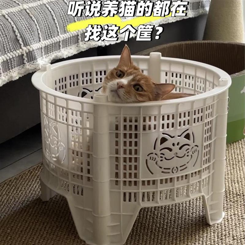 夏季清凉透气猫窝加高围栏