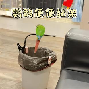 鹦鹉定点排便站架玄凤小太阳和尚垃圾桶拉屎夹子创意拉粑粑专用夹