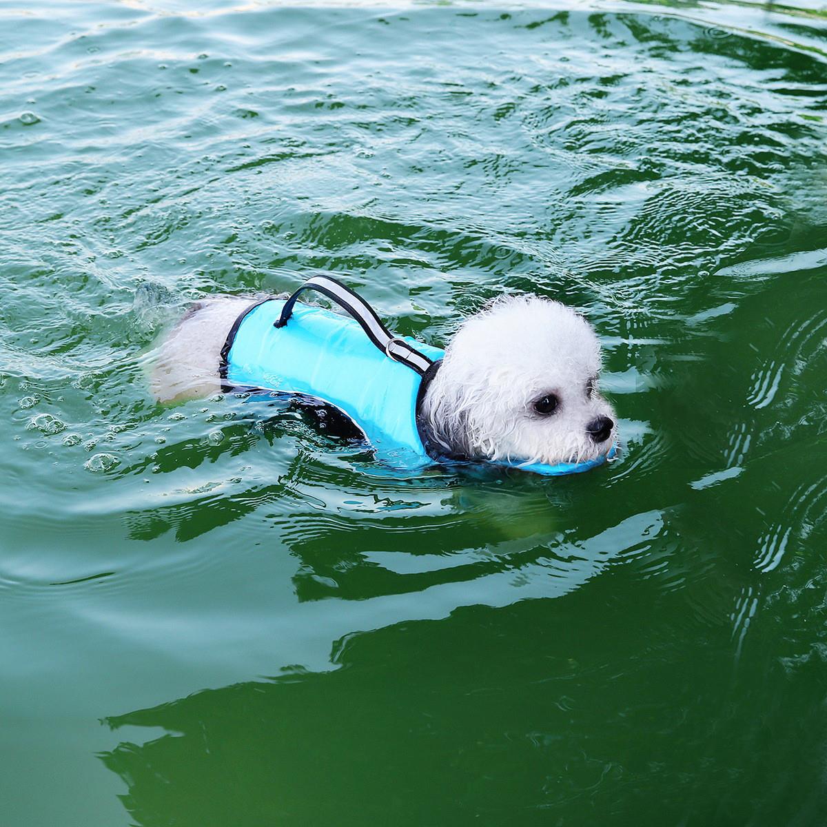 中大型犬强浮力托颈游泳救生衣