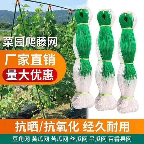 百香果专用植物爬藤网