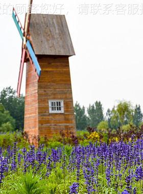 景临沂厂家制10914作格区户外大型防腐木景观荷兰欧美风电动大风