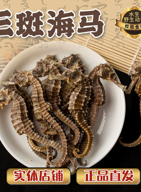 海马干货三斑海马中药材泡酒药材大煲汤海马一公一母大泡酒一对装