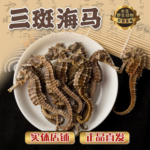 海马干货三斑海马中药材泡酒药材大煲汤海马一公一母大泡酒一对装