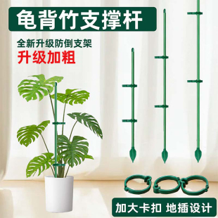 花卉绿植植物花架龟背竹支撑杆固定神器番茄花支撑架防倒伏花支架