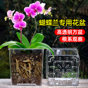 亚克力玻璃方形透明花盆塑料杯种植盆兰花蝴蝶兰专用花盆家用套盆