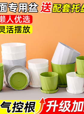 多肉花盆树脂长寿花白色塑料花盆家用绿萝专用盆轻奢高级感带托盘