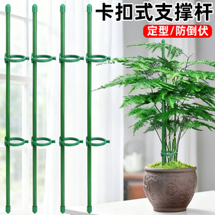 文竹专用支撑杆花盆绿植爬藤固定器种菜龟背竹防倒伏植物花撑支架