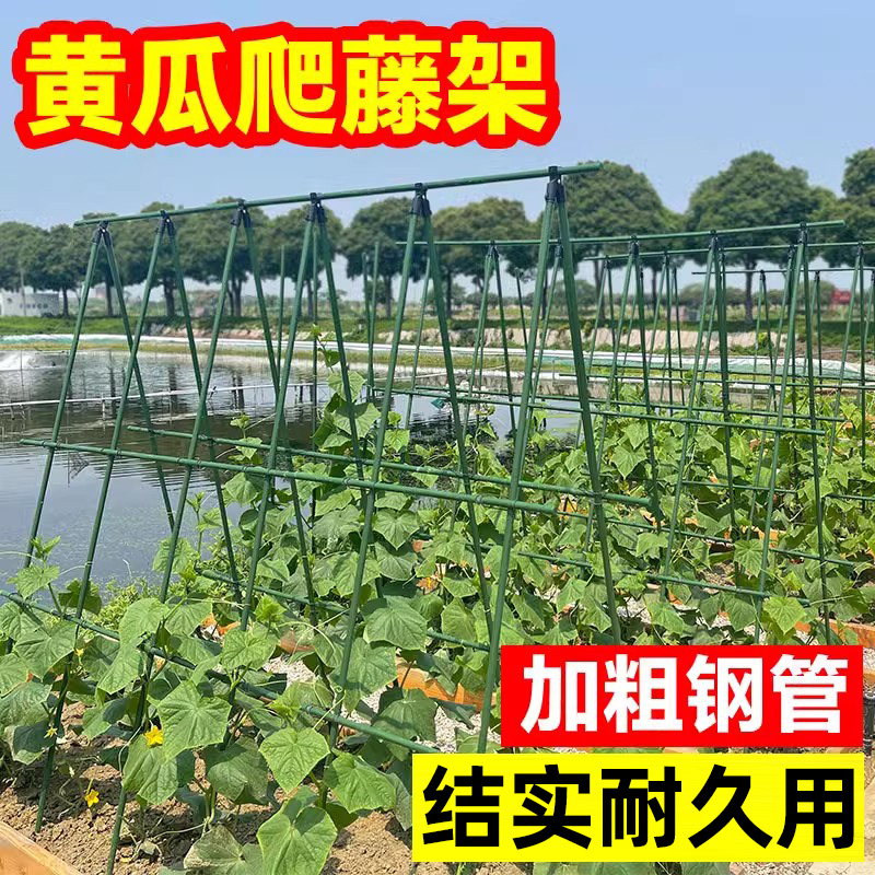 种植箱蔬菜架豆角架杆西红柿支撑杆种菜搭架子番茄葡萄黄瓜爬藤架