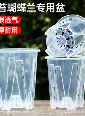 透明青山控根盆兰花水苔蝴蝶兰专用花盆塑料透气镂空大号花盆家用