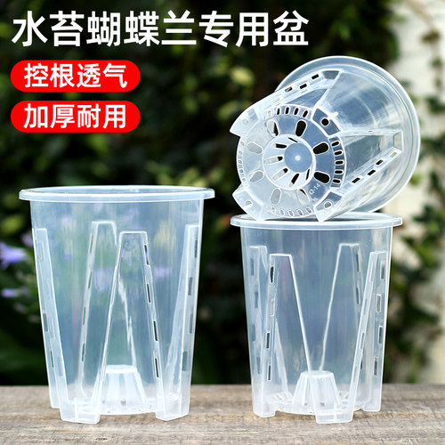 新款空气柱透明蝴蝶兰专用花盆