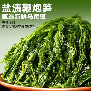 海草鞭炮笋5斤羊栖菜新鲜马尾藻长寿菜盐渍海藻菜半干货海带商用