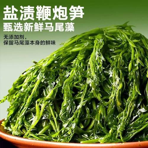 海草鞭炮笋5斤羊栖菜新鲜马尾藻