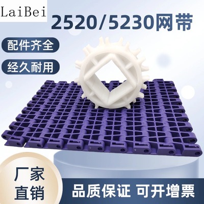 12.7节距POM塑料网带链