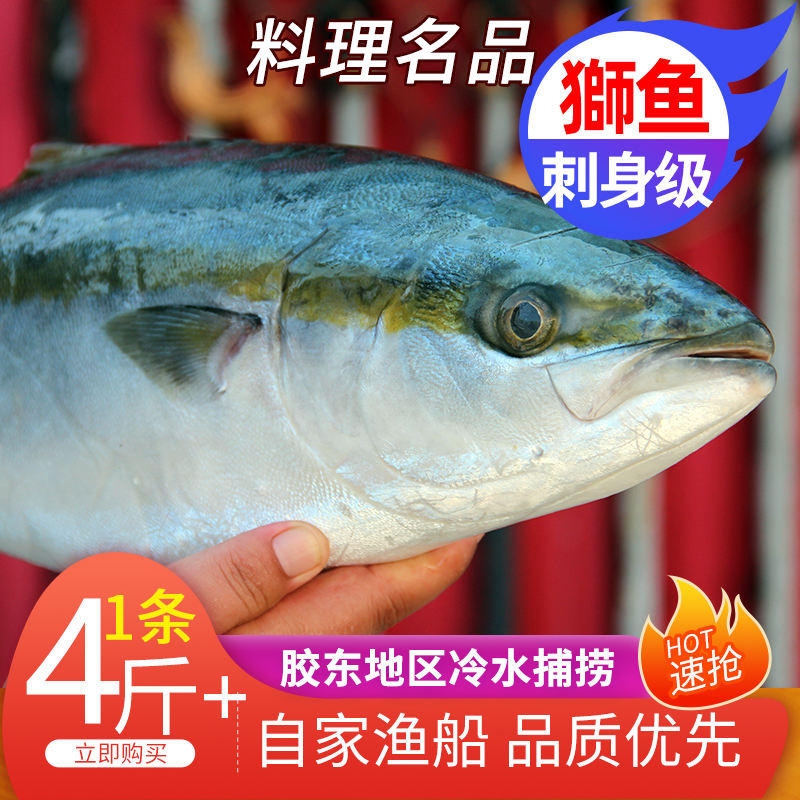 寿司新鲜刺身生鱼片海鲜金枪鱼