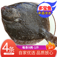 新鮮多寶魚鮮活比目魚鰈魚海魚單凍水產(chǎn)無冰刺少包冷凍順豐冷鏈