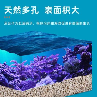 天然海沙蓝昂海缸造景珊瑚沙菲律宾沙天然鱼缸沙底砂海砂珊瑚骨石