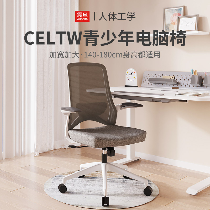 网布人体工学椅电脑椅