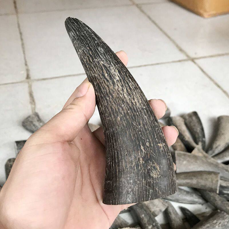 天然黑水牛角尖实心原料印章佛珠料手工艺品雕刻边角材料加工DIY