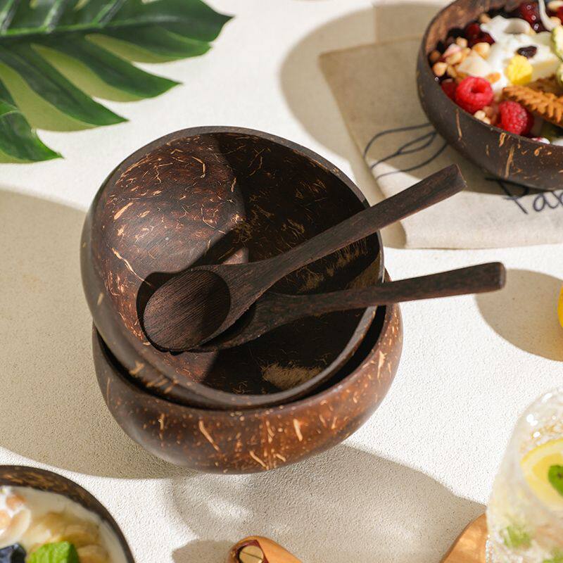 创意酸奶碗带勺木头甜品水果沙拉家用早餐燕麦片天然椰子壳碗