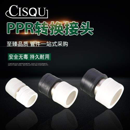 PPR转PE接头20/25/32/40/50/63变4分6分1寸PERT转换接头水管配件