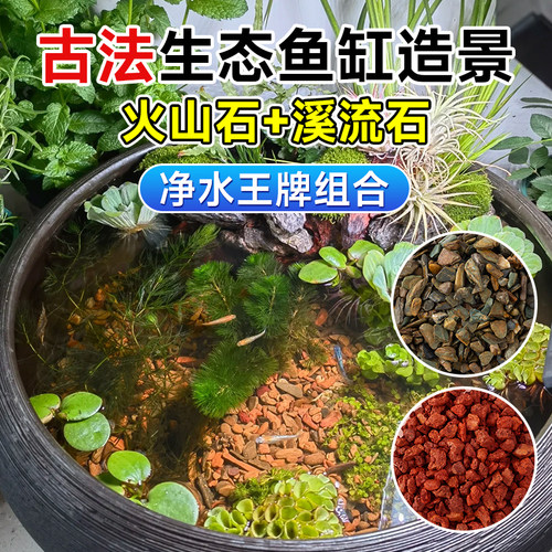 天然火山石小鱼缸造景生态全套乌龟专用精致颗粒过滤滤材净化水质
