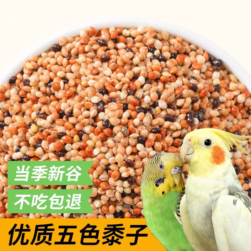 鹦鹉鸟粮饲料谷子牡丹虎皮玄凤粮食文鸟珍珠专用带壳五色黍子黄米,宠物/宠物食品及用品,鸟食,淘宝优惠券,粉丝福利购,淘宝优惠卷