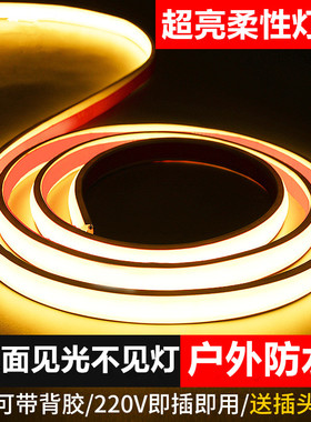 超亮led灯带220v户外防水灯带条工程亮化外墙专用室外自粘软灯条