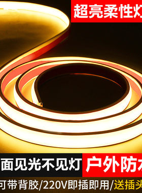 超亮led灯带220v户外防水灯带条