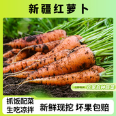 新疆特产蔬菜红萝卜农家新鲜抓饭黄色胡萝卜黄萝卜现挖非有机水果
