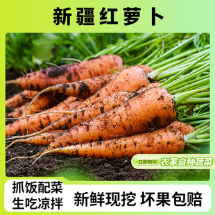 新疆特产蔬菜红萝卜农家新鲜抓饭黄色胡萝卜黄萝卜现挖非有机水果