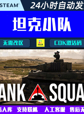 坦克小队 Tank Squad Steam游戏联机合作CDK激活