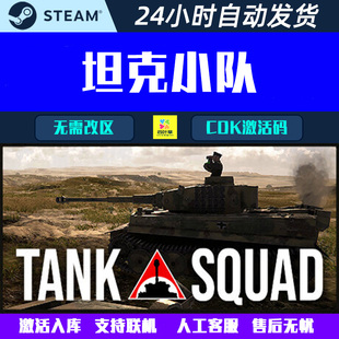 坦克小队 Tank Squad Steam游戏联机合作CDK激活