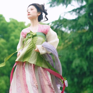唐制汉服成人女破裙齐胸唐衫春夏