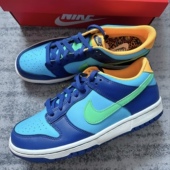 Dunk 板鞋 防滑耐磨复古运动轻便板鞋 Nike DV1693 401