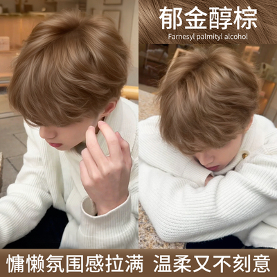 施华蓓芬独家精油山茶籽染发膏剂