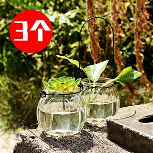 3個(gè)銅錢草玻璃花瓶觀葉觀根植物吊瓶子水培植物容器水生水養(yǎng)綠蘿