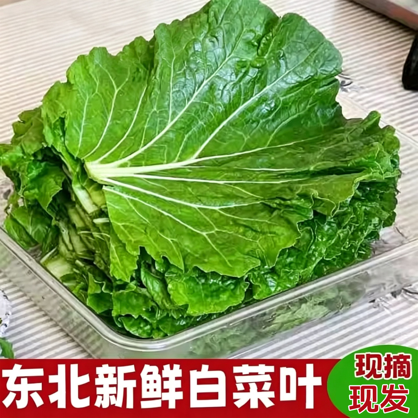 打饭包叶东北大白菜叶新鲜蔬菜叶散装大白菜叶子即食蘸酱菜现摘