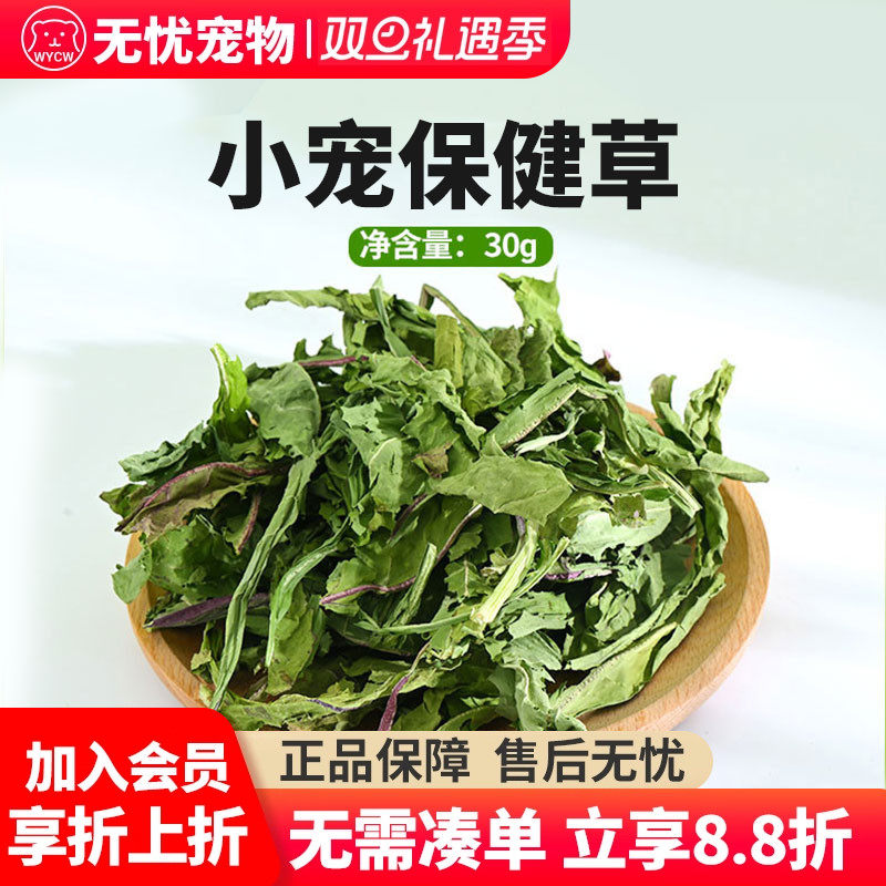 小宠保健干草薄荷叶菊苣草蒲公英桑叶草兔子龙猫常备牧草