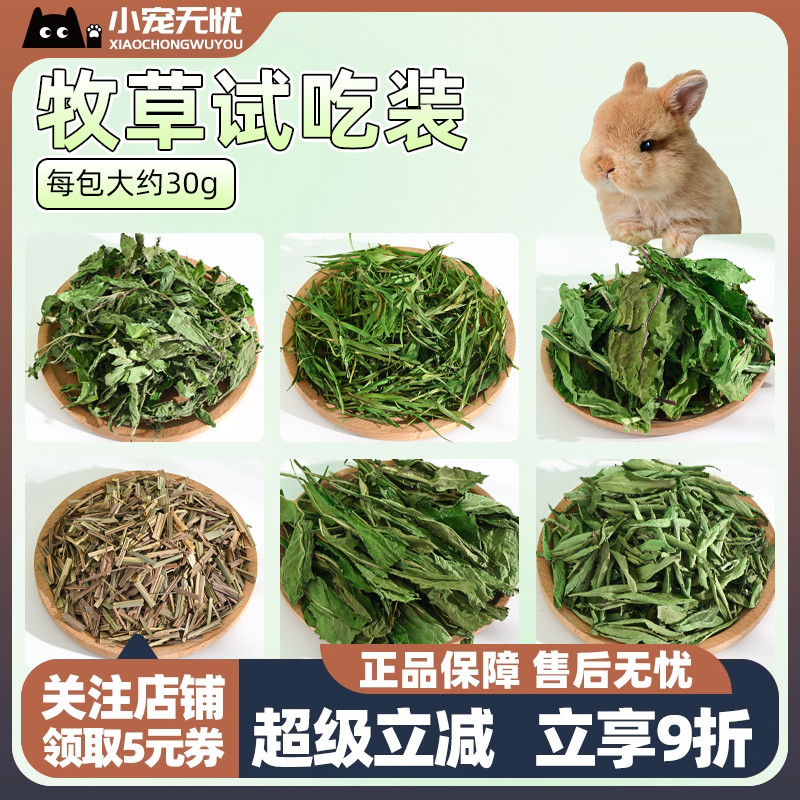 试吃草南提澳麦菊苣提摩西草苜蓿