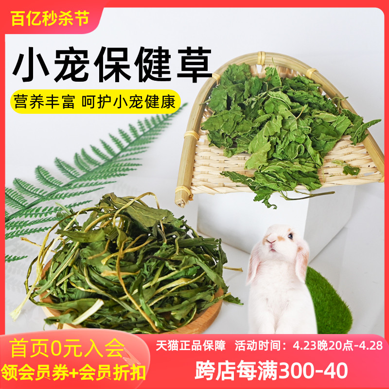 宠物兔子龙猫保健薄荷菊苣蒲公英