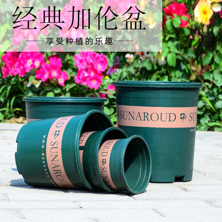 满园红塑料加厚款简约加仑花盆
