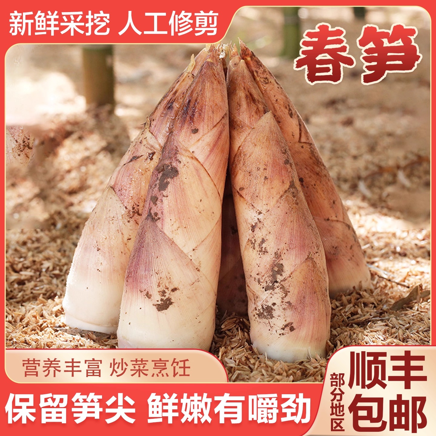 杭州天目竹笋当季时令新鲜现挖现发农产品鲜笋大竹笋酒店特色食材