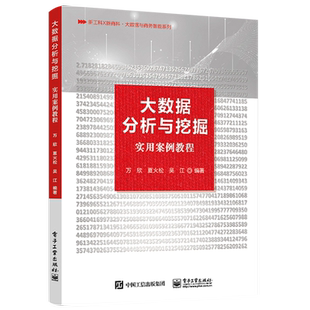 官方正版 大数据分析与挖掘实用案例教程 大数据分析与挖掘基础 高等学校数据挖掘商务智能数据分析课程教材 万欣 电子工业出版社