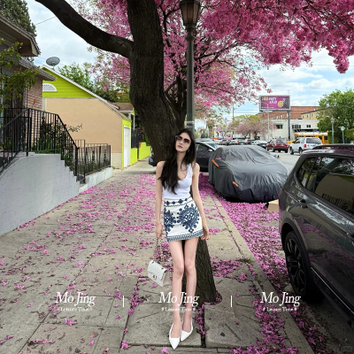 吊带青花瓷刺绣半身裙子两件套