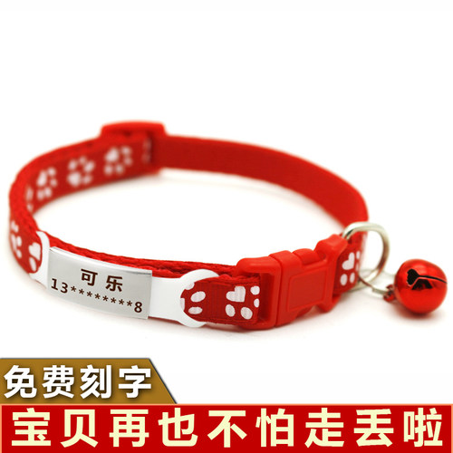 定制猫咪项圈刻字吊牌幼猫脖圈狗铃铛小型犬项链防走丢猫用品大全