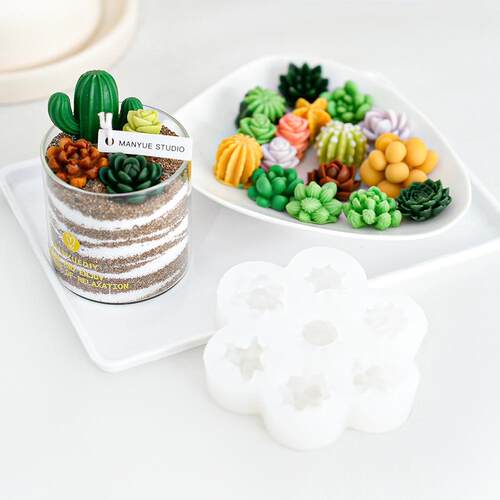 多肉植物立体硅胶模具